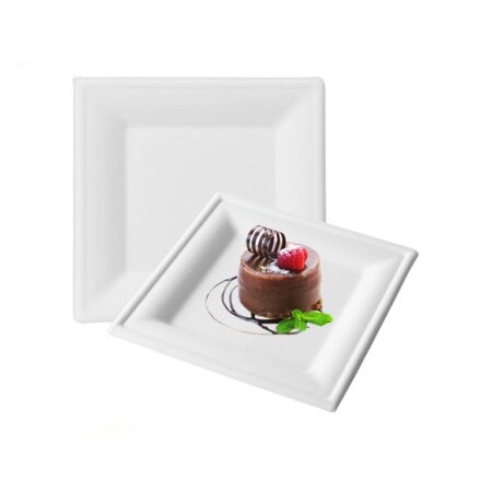 MOVIDA PIATTI QUADRI 15X15 BIO 20 PZ X 50 CF